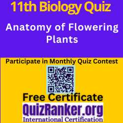 Anatomy of Flowering Plants MCQ Test