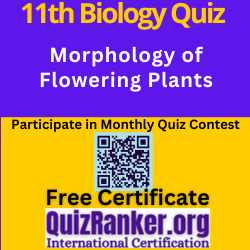 Morphology of Flowering Plants MCQ Test