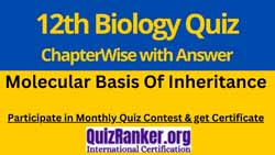 12th Biology Molecular Basis of Inheritance Quiz