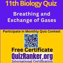 Breathing and Exchange of Gases MCQ Test