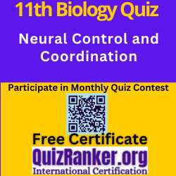 Neural Control and Coordination MCQ Test