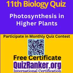 Photosynthesis in Higher Plants MCQ Test