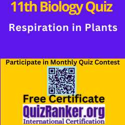 Respiration in Plants MCQ Test